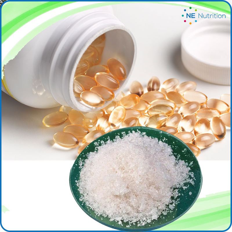 10% Docosahexaenoic Acid(DHA) Powder